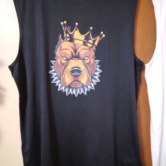 💥 CLOSET CLOSING SALE 💥 CHAMPION Men's Sleeveless Graphic Tank Tshirts-NWOT - Picture 3 of 13